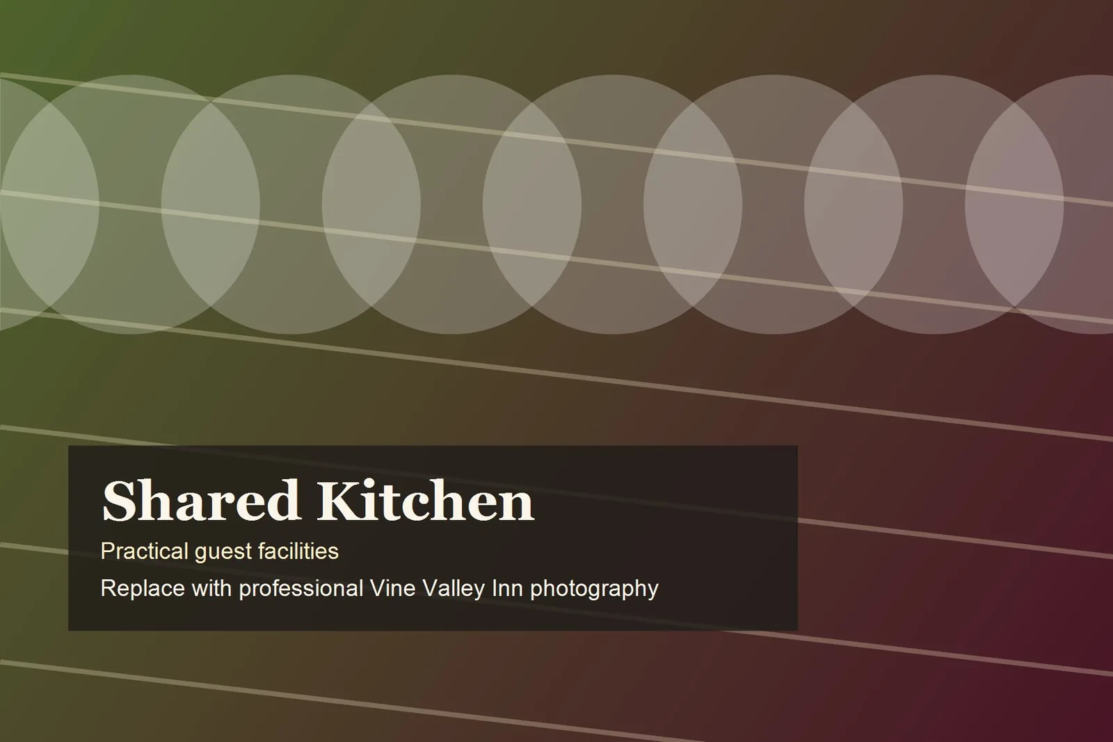 Shared guest kitchen with stove and oven at Vine Valley Inn Cessnock
