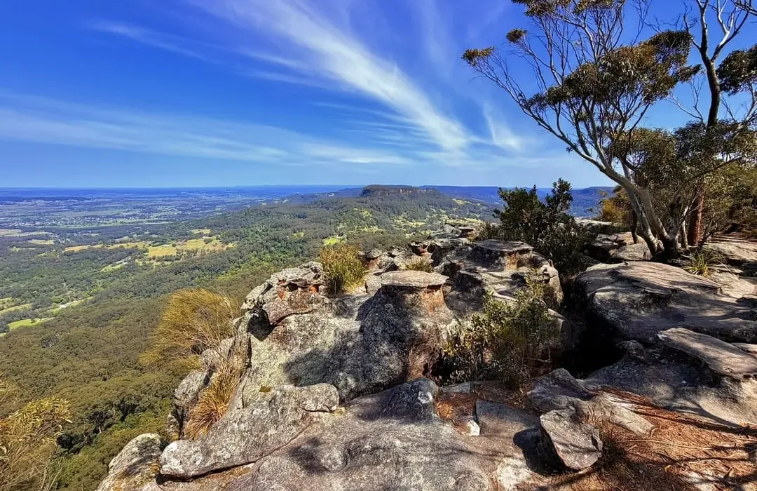 Werakata National Park near Vine Valley Inn Cessnock